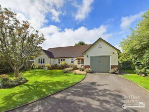 Front- click for photo gallery